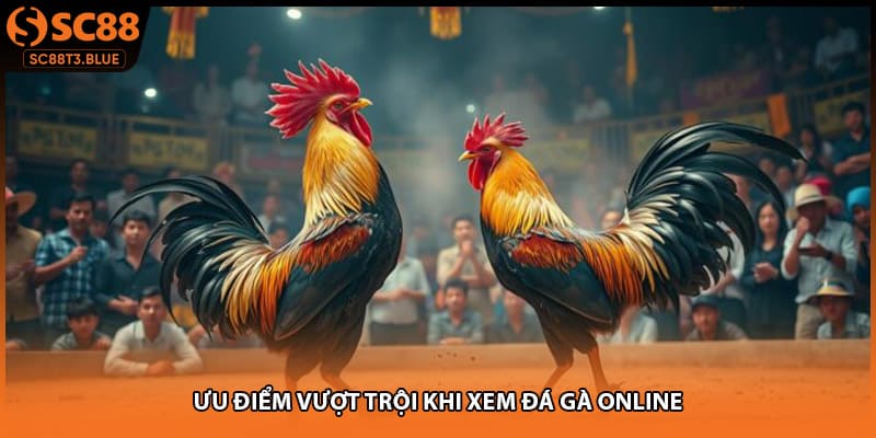 Ưu điểm vượt trội khi xem đá gà online